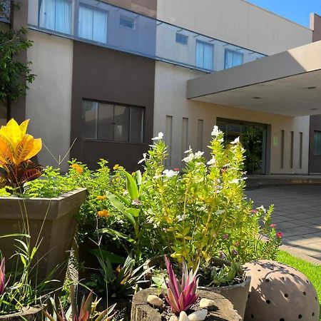 Maximus Business Hotel Ji-Parana Exterior photo
